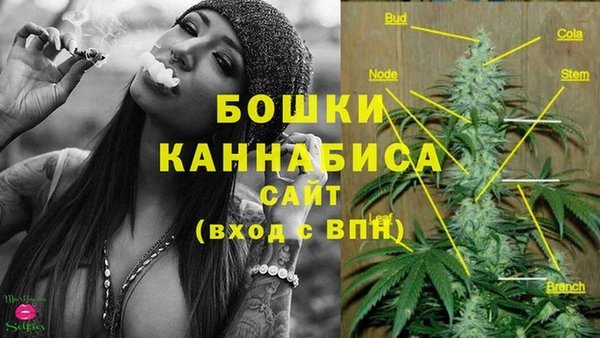 сатива Баксан