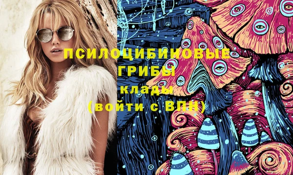 сатива Баксан