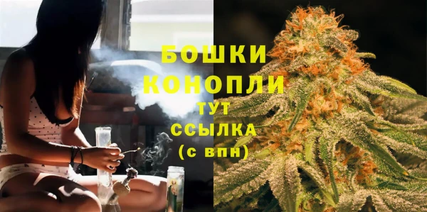 сатива Баксан